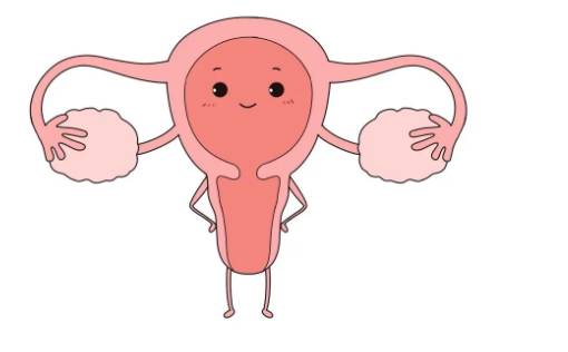 福州助孕公司：微刺激促排方案优势，取多少卵因人而异