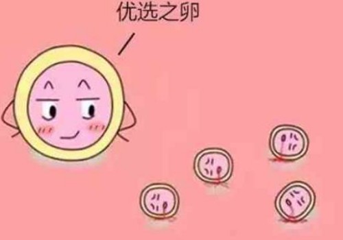 乳房疼痛是怀孕了吗,乳房哪种疼是怀孕了