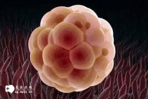 取卵后的朋友学起来!“蔬菜皇后”西兰花怎么吃最有营养-