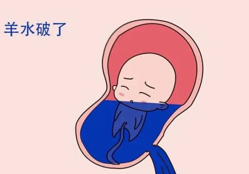 婴儿辅食至关重要，6个月时就需要添加辅食了